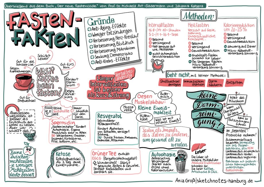 Infografik im Sketchnotes-Stil. Die beiden wichtigsten Neuerungen im Fasten sind: Kaffee (und grüner Tee) dürfen nicht nur getrunken werden, sie sollten es sogar, denn beide sind Fastenimitatoren (neben vielem anderen, was nur teilweise auf der Sketchnote zu finden ist). 
Das zweite ist: Keine Darmreinigung, weder mit Glaubersalz, noch mit Einläufen. Jegliche Art von Darmreinigung zerstört das Darmbiom und das ist unter allen Umständen zu schützen.
Daneben habe ich noch einige Stichwörter erklärt, Gründe fürs Fasten aufgeschrieben (huch, da fehlt Gewichtsverlust …) und was Fasten nicht kann (Stoffwechsel anregen …)